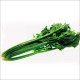 Celeri (Lot de 40 graines)