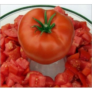 Tomate Ace 55 (50 graines)